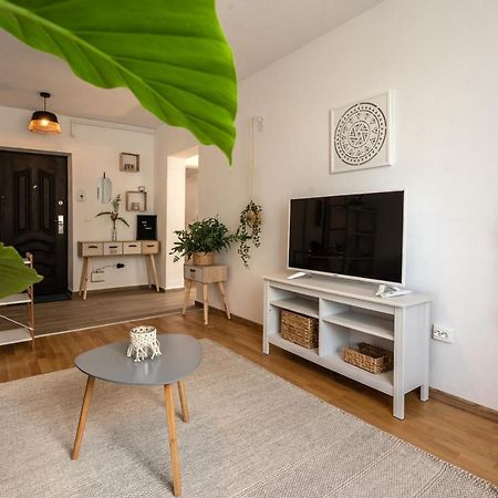 סיגישוארה Daisy Apartment 11 מראה חיצוני תמונה
