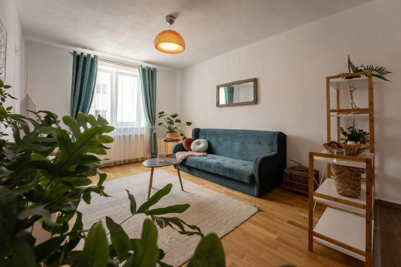 סיגישוארה Daisy Apartment 11 מראה חיצוני תמונה