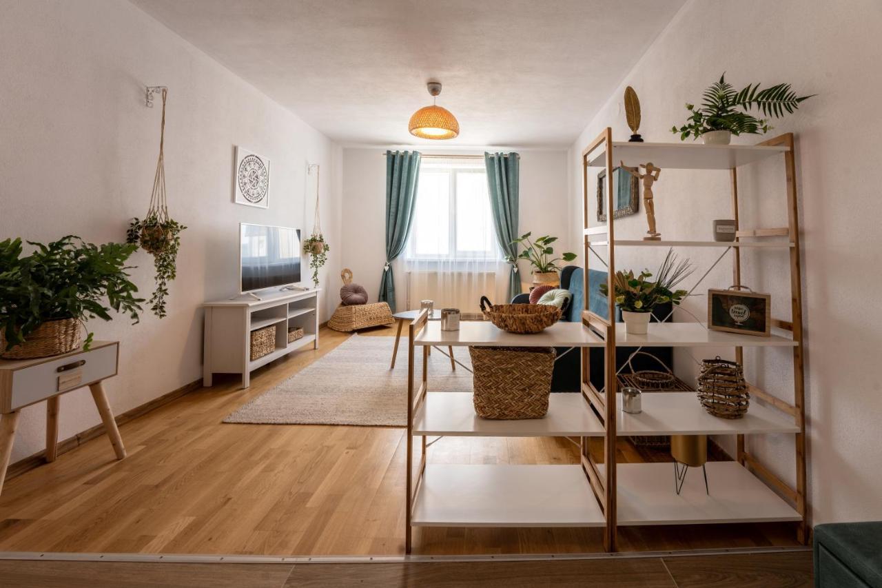 סיגישוארה Daisy Apartment 11 מראה חיצוני תמונה