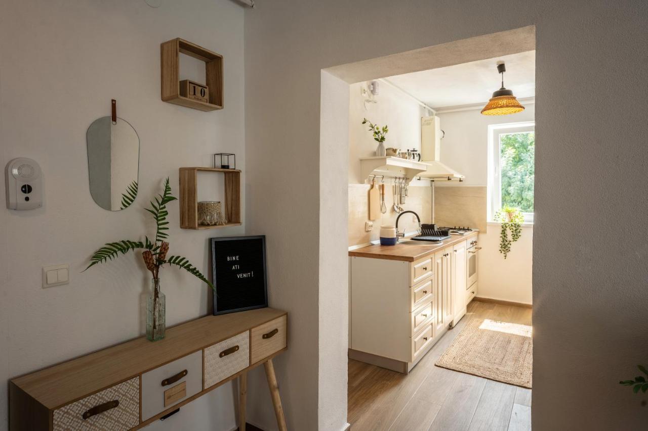 סיגישוארה Daisy Apartment 11 מראה חיצוני תמונה